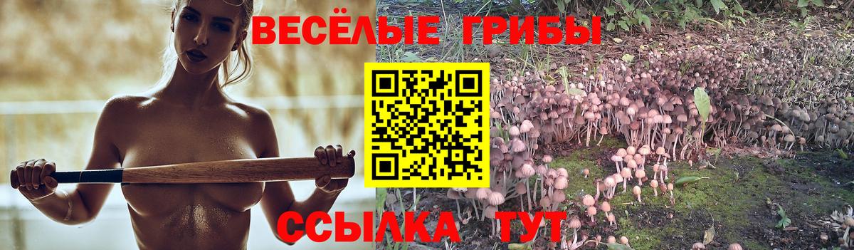 Псилоцибиновые грибы мухоморы Наро-Фоминск